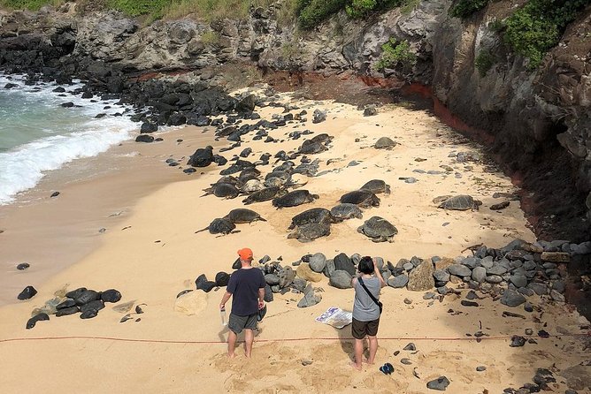 Road to Hana Adventure - Best Tour on Maui - Companys Resilience