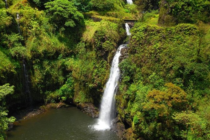 Road to Hana, Black Sand Beach, Waterfalls & Turtles Tour - Tour Details and Pricing