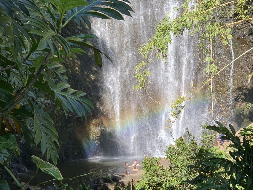 Road to Hana: Private Jungle Tour With Maui West Side Pickup