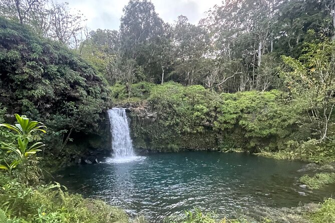 Road to Hana Tours to Black Sand Beach, Waterfalls, and More! - Suggestions for Better Experiences