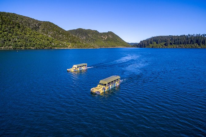 Rotorua Duck Boat Guided City and Lakes Tour - Booking Terms and Conditions