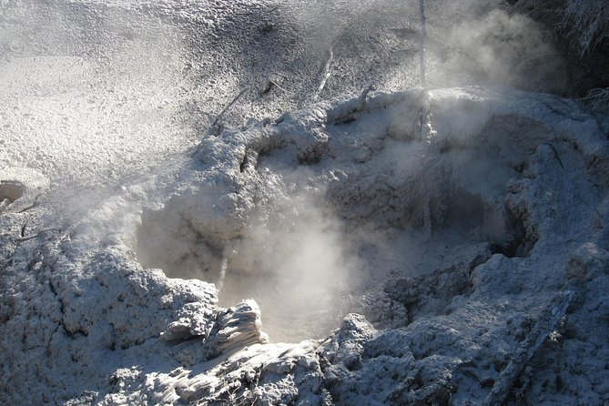 Rotorua Eco Cultural Full Day Tour (Wai O Tapu, Waimangu,Te Puia) - Pickup Details