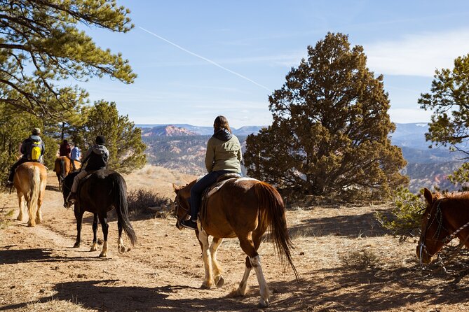 Rubys Horseback Adventures Utah 1.5 Hour Ride - Common questions