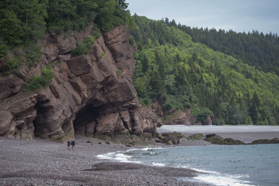 Saint John: Bay of Fundy Guided Kayaking Tour With Snack - Detailed Itinerary & Locations