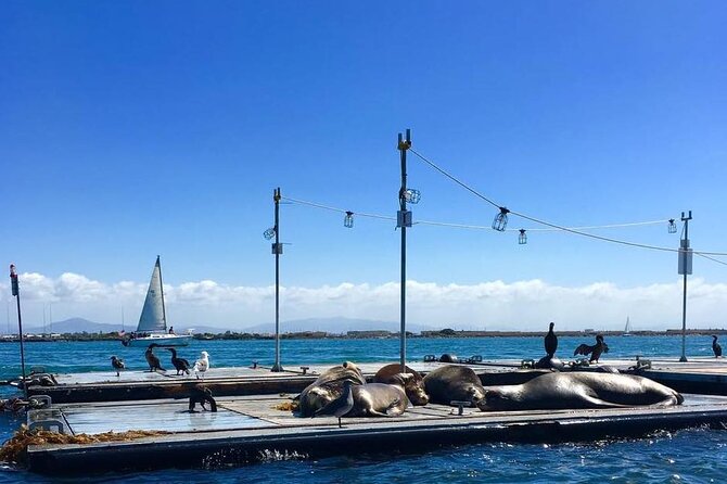 San Diego Harbor Speed Boat Adventure - Common questions