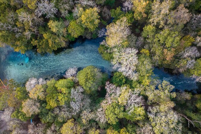 Santa Fe River Small-Group Glass-Bottom Kayaking Tour  - Florida - Assistance Options