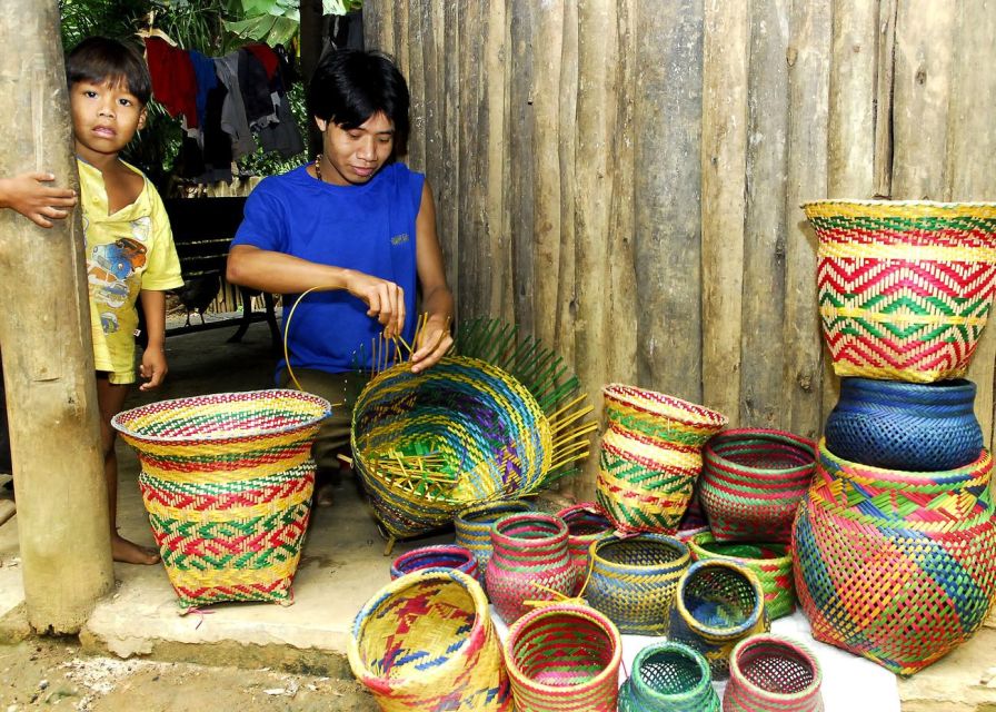 Santos Shore Excursion: Rain Forest and Indian Reserve - Sum Up