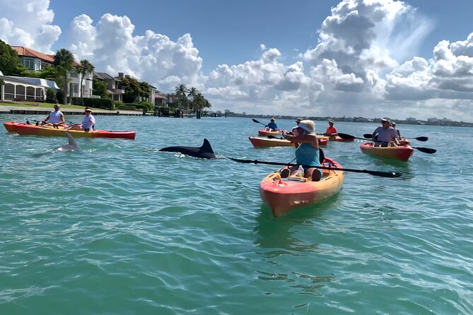 Sarasota Mangroves Kayaking Small-Group Tour - Directions