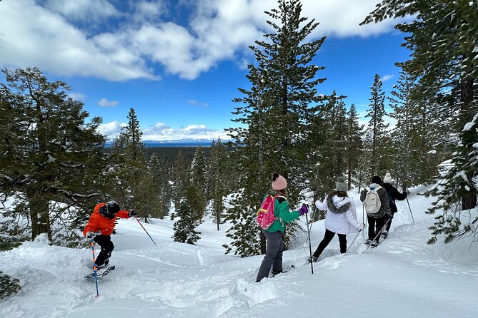 Scenic Snowshoe Adventure in South Lake Tahoe, CA - Customer Reviews and Experiences