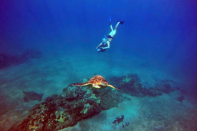 Sea Scooter Snorkeling Tour - Wailea Beach - Common questions
