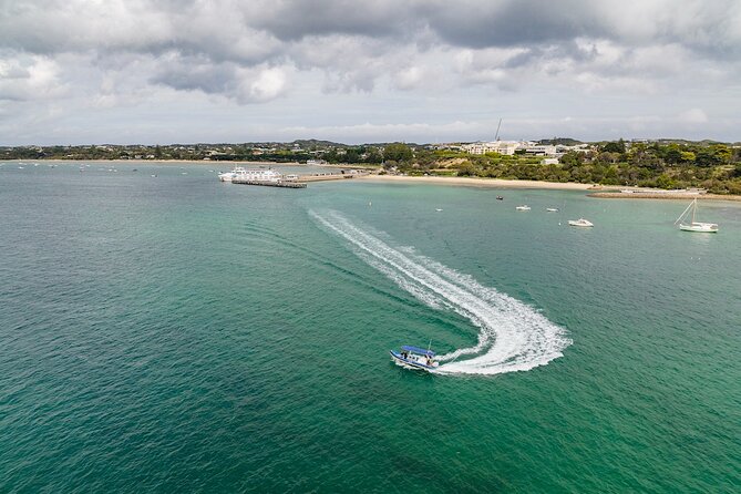 Seal and Dolphin Watching Eco Boat Cruise Mornington Peninsula - Pricing Information and Details