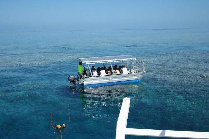 Seastar Luxury Outer Great Barrier Reef Island and Reef Tour - Professionalism and Satisfaction