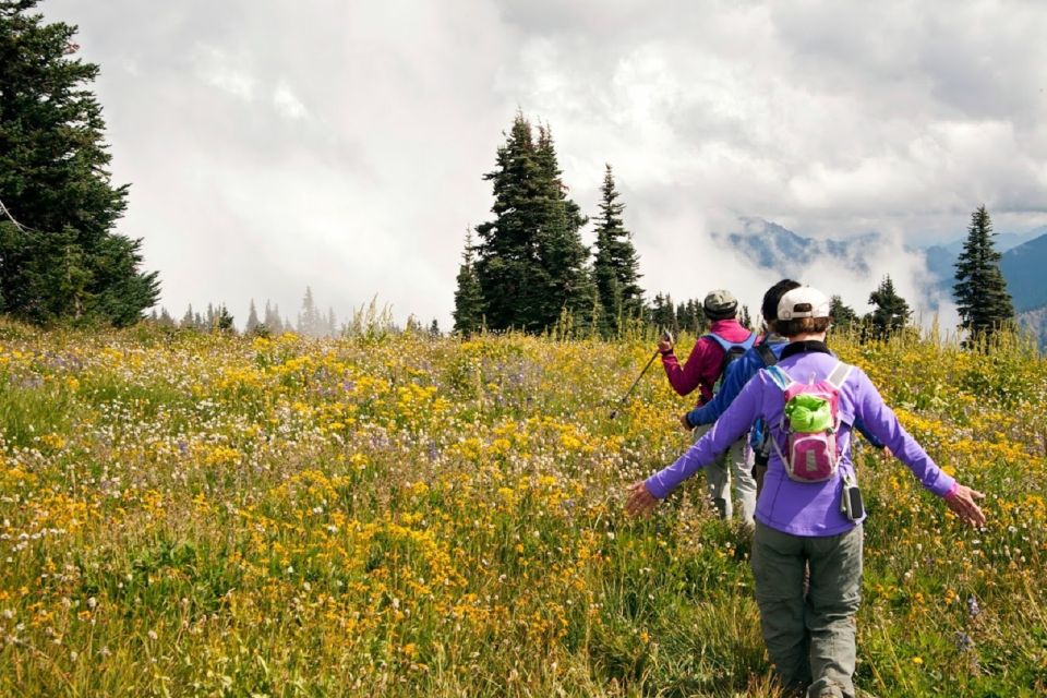 Seattle: Olympic National Park Small-Group Tour - Booking Flexibility