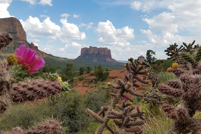 Sedona and Grand Canyon Full-Day Tour - Sum Up