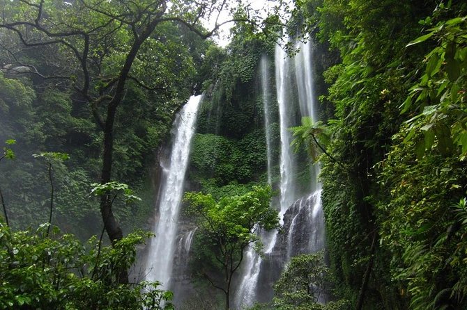 Sekumpul and Banyumala Waterfalls Hiking Tour (Private & All-Inclusive ) - Sum Up