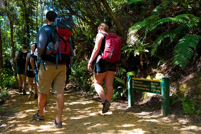 Self-Guided Queen Charlotte Track Walk From Picton - Directions and Logistics for the Walk