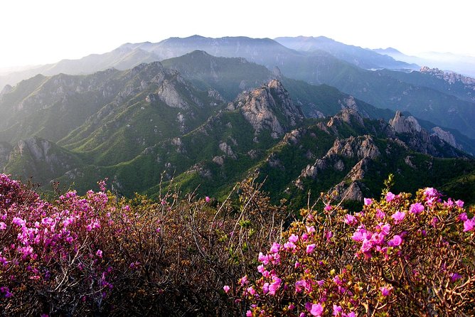 Seoraksan Daecheongbong(1,708m) Peak Hiking [1-Day Tour From Seoul] - Common questions