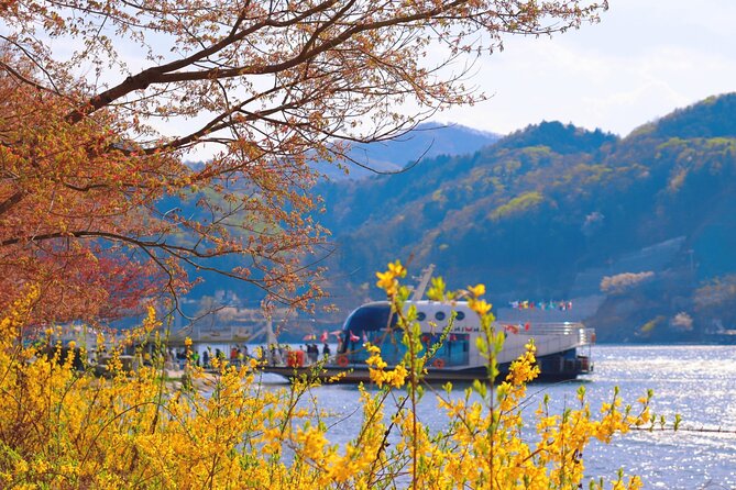 Seoul Vicinity 5 in 1: Nami Island, Garden of Morning Calm & More - Sum Up