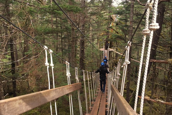 Seward Alaska Small-Group Ziplining Experience in Nature - Address