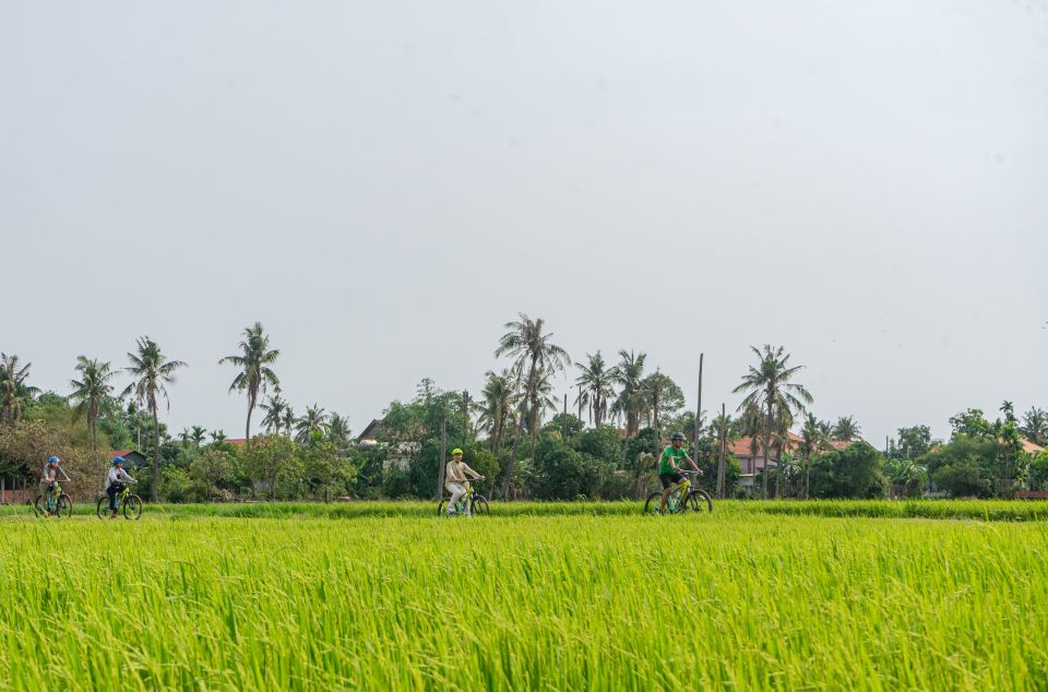 Siem Reap: Countryside Sunset Bike Ride - Background