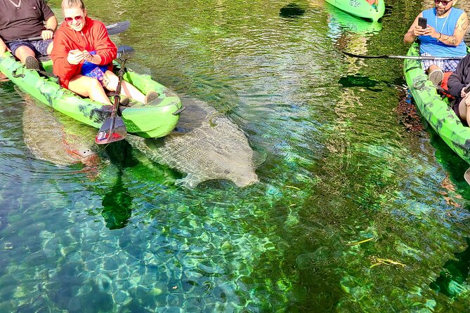 Silver Springs Clear Kayak Or Paddle Board Wildlife Tour  - Orlando - Wildlife Tour Directions