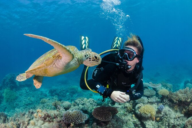 Silverswift Dive and Snorkel Great Barrier Reef Cruise - Common questions