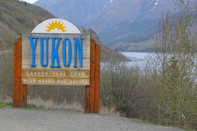 Skagway Shore Excursion: Yukon Dog Sledding and Sightseeing Tour - Summary and Recommendations