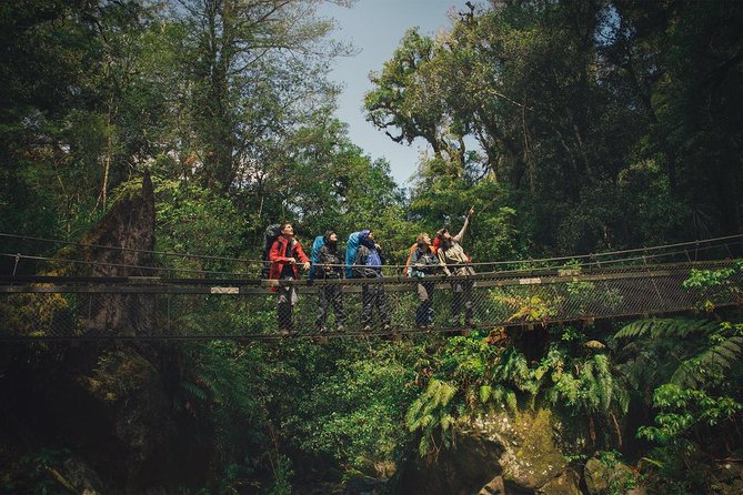 Small-Group 23-Day Hiking Tour: North and South Islands  - Auckland - Customer Support Details