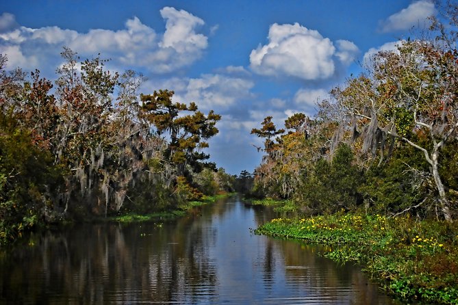Small-Group Bayou Airboat Ride With Transport From New Orleans - Pickup and Transportation