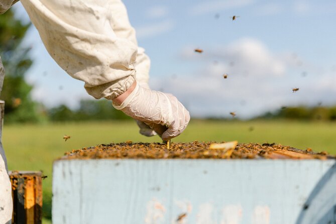 Small-Group Beekeeping Experience in Tauherenikau - Sum Up