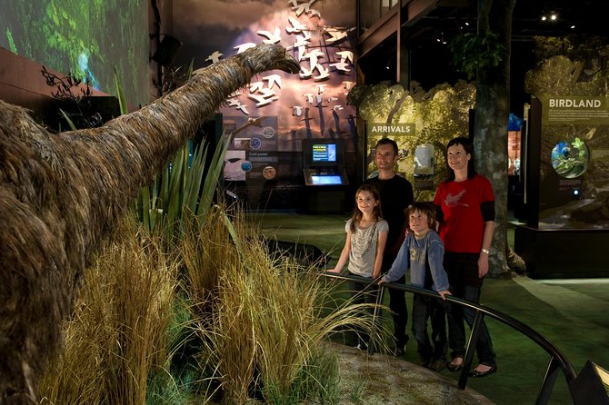 Small Group Daytime 2-Hour Eco Wildlife Tour at Zealandia - Sum Up