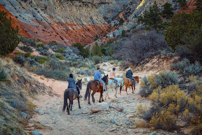 Small-Group East Zion White Mountain Horseback Ride - Safety and Health Considerations