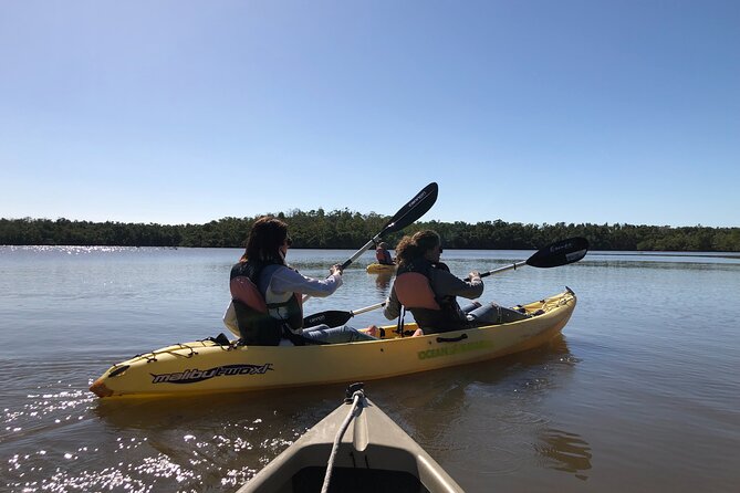 Small-Group Everglades Boating Kayaking and Walking Eco Tour - Traveler Reviews
