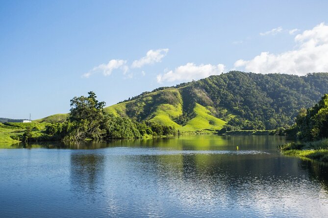 Small Group Full Day Daintree Rainforest Tour From Port Douglas - Start Time