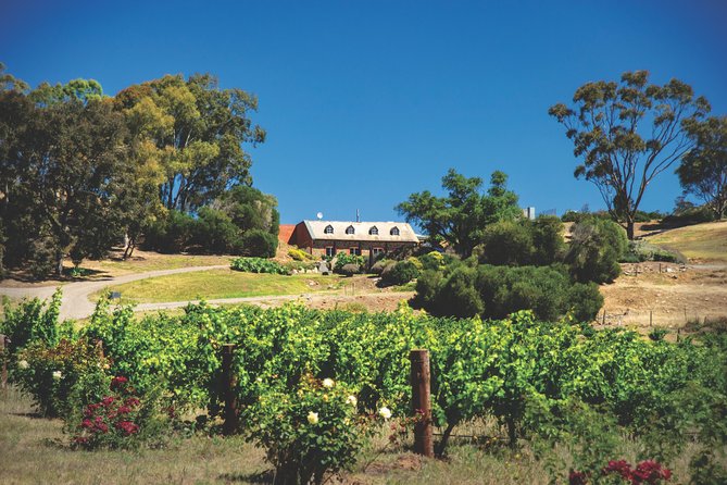 Small Tour Barossa Valley Voyager Tour From Adelaide - What To Expect