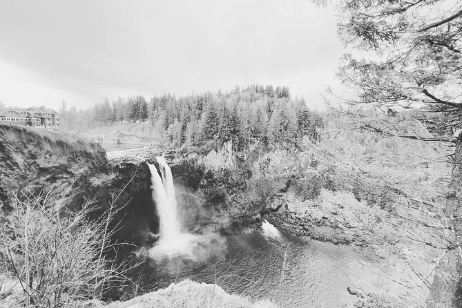 Snoqualmie Falls and Wineries Tour From Seattle - How Viator Works and FAQs