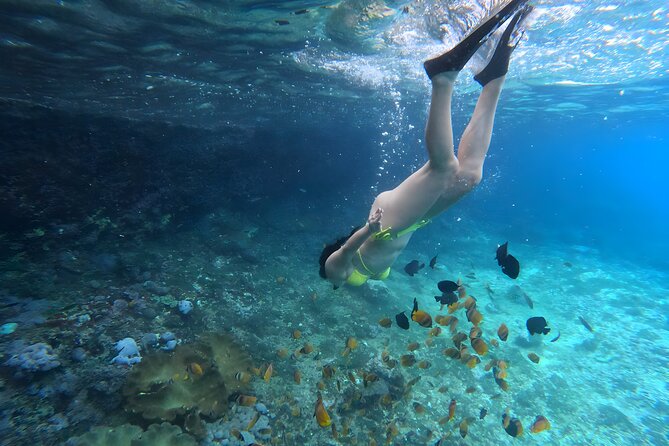 Snorkeling In Nusa Penida Departing From Bali Island - Safety Guidelines