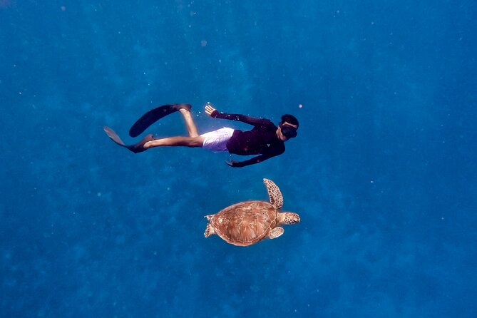 Snorkeling With Turtle and Statue in Gilis - Common questions