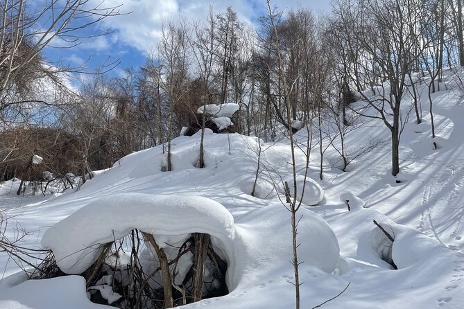 Snowshoeing Adventures in a Winter Wonderland - Sapporo - Wildlife Encounters