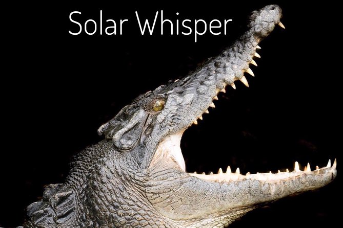 Solar Whisper Daintree River Crocodile and Wildlife Cruise - Sum Up