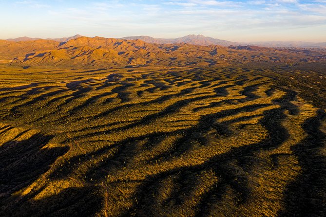 Sonoran Desert Jeep Tour - Common questions