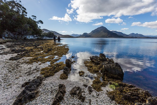 Southwest Tasmania Wilderness Experience: Fly Cruise and Walk Including Lunch - Booking Information