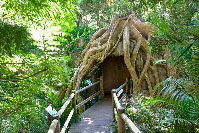 Springbrook Andtamborine Rainforest Tour Incl Natural Bridge and Glow Worm Cave - Booking Information