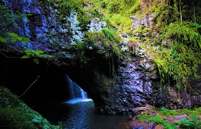 Springbrook National Park Shared Waterfalls Tour  - Surfers Paradise - Sum Up