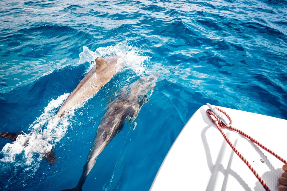 St. Petersburg, FL: Private 2-Hour Dolphin Watching Cruise - Directions