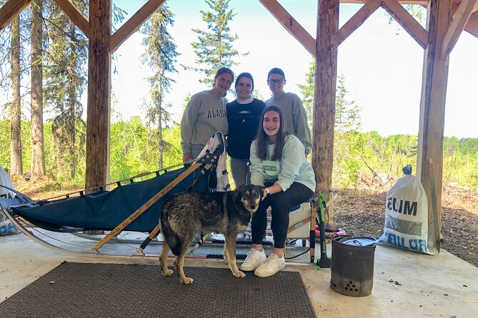 Summer Dog Sledding Adventure in Willow, Alaska - Common questions