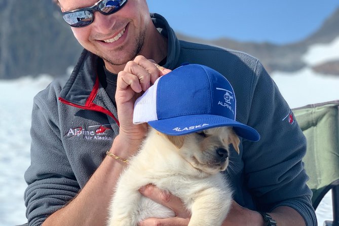 Summer Glacier Dogsledding Tour From Girdwood - Reviews and Feedback