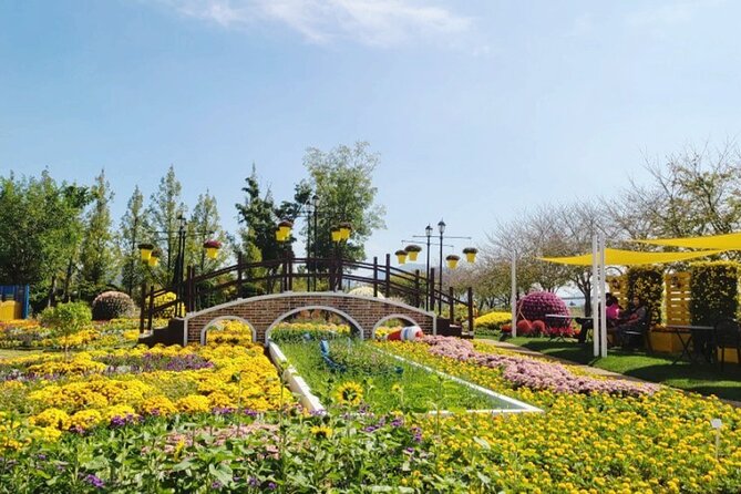 Suncheon 1-Day Tour for Main Attractions - Cancellation and Refund Policy