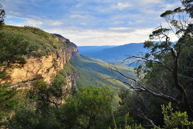 Sunset Blue Mountains Wilderness & Wildlife Tour From Sydney - End Point and Logistics