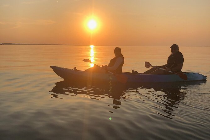 Sunset Dolphin Kayak Tours - Booking Information